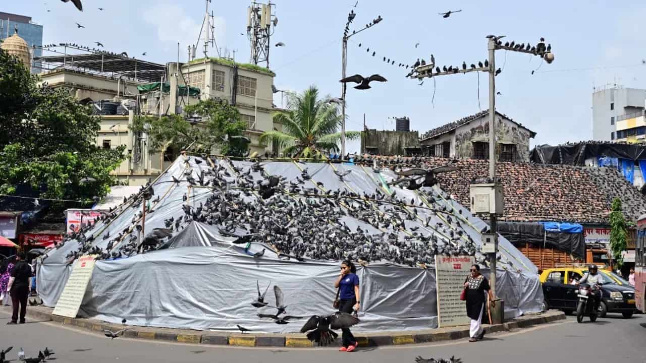 दादर कबूतरखाना विवाद: जैन साधु का अनशन और कड़ी चेतावनी